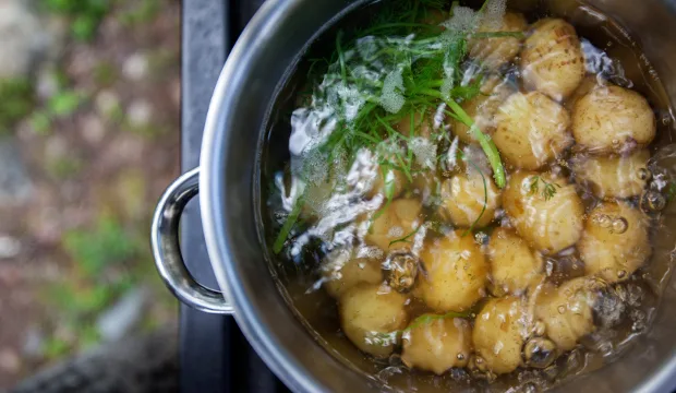 Mkn vinkitjateemat grillaus uudet perunat pixhill