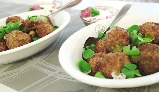 Mkn artikkeli iitinmetsaruokakurssi