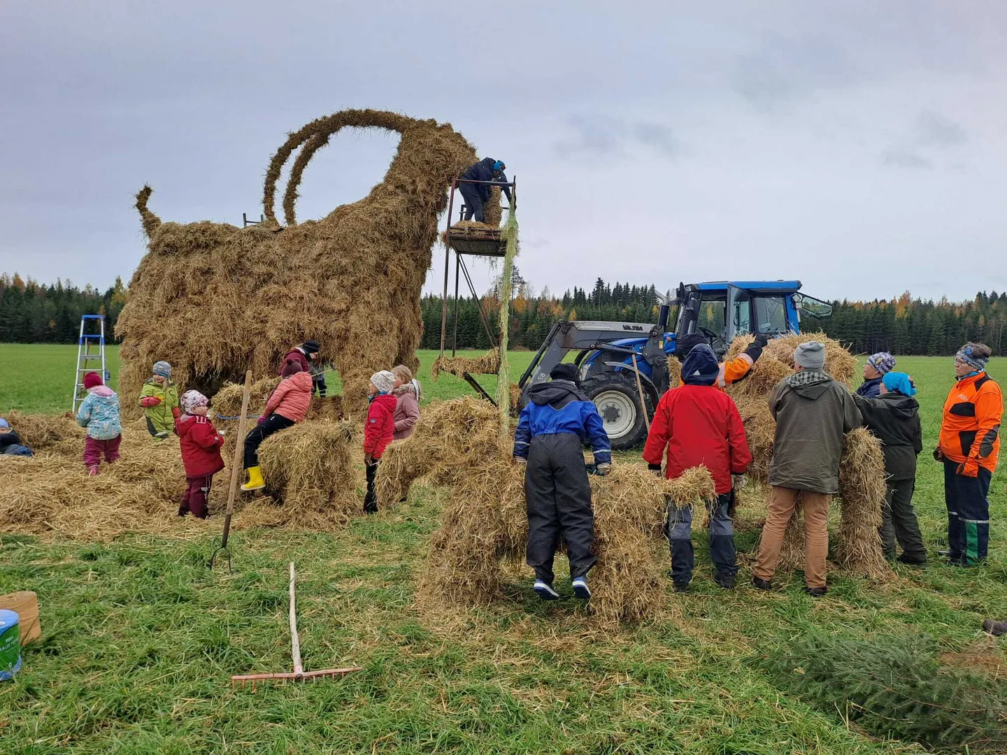 Pukki palaa 2024 Inkeri Palmio 1