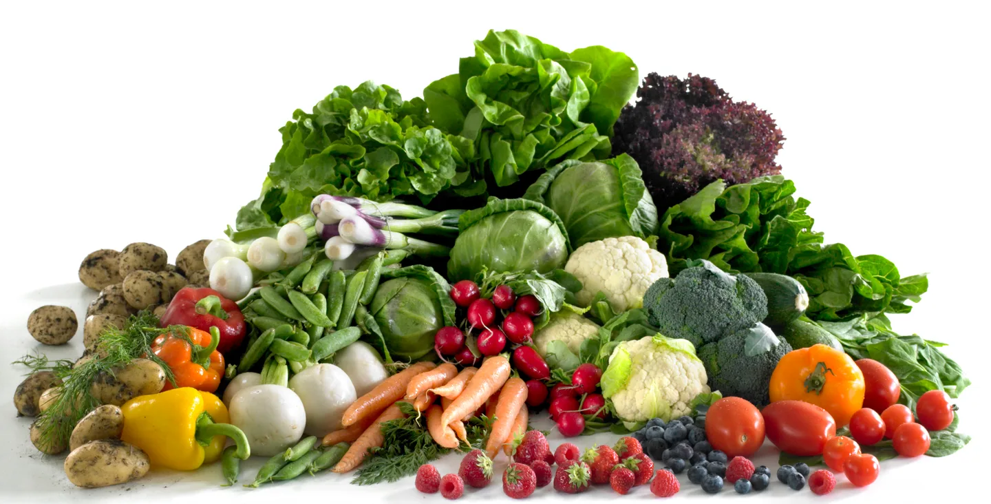 Kesa kaudenkasvikset iso