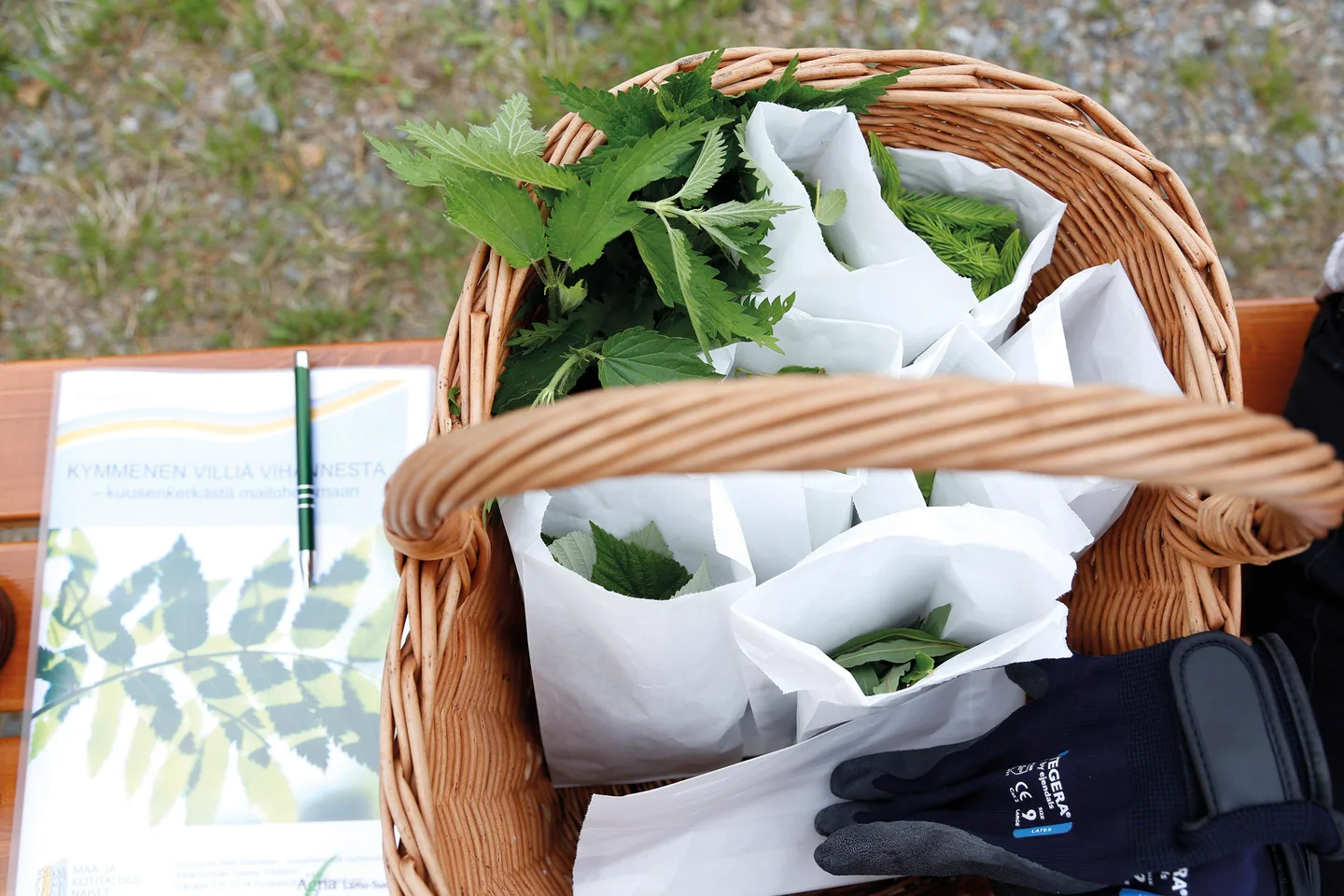 MKN_villiyrtit korissa