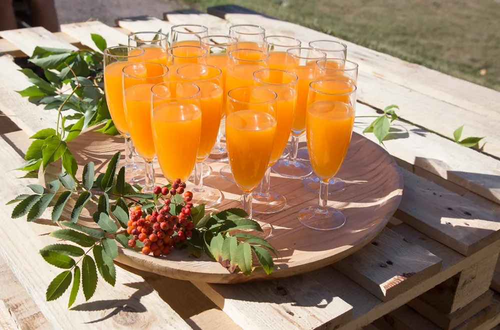 Essi jokela oranssi juoma lasissa pien