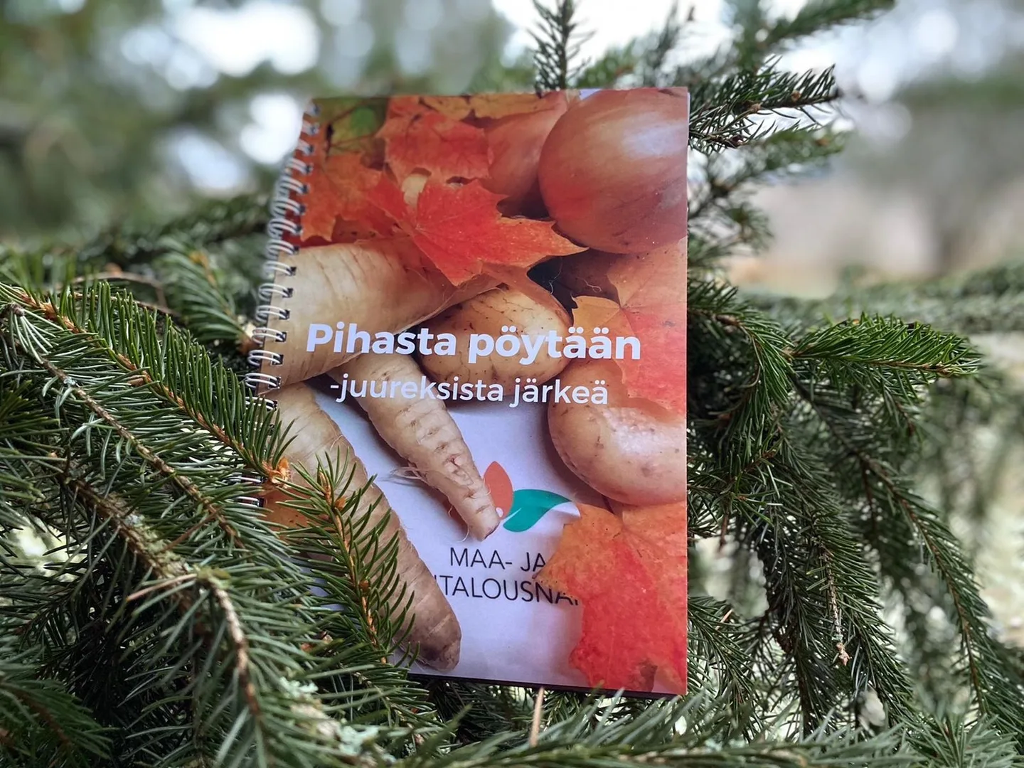 L s mkn pihasta poytaan juureksista jarkea1 vaaka