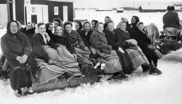 Mkn artikkeli historiikki