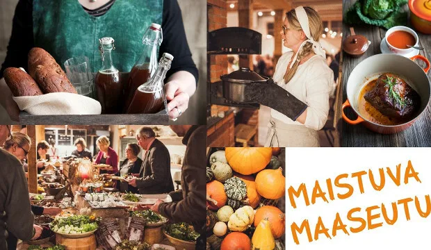 Mkn artikkeli maistuva
