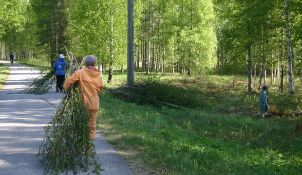 Mkn artikkeli raivaus leenalk