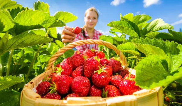 Kuva Petri Jauhiainen