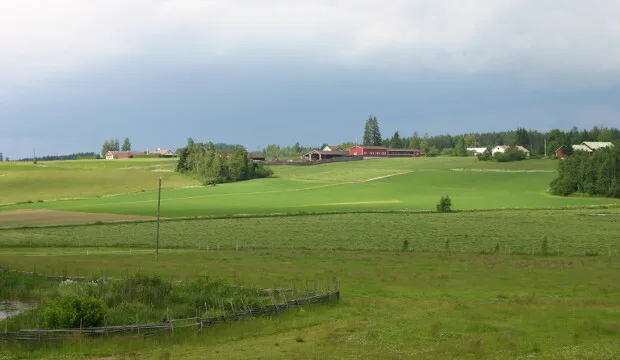 Mkn uutinen maisematyopajat