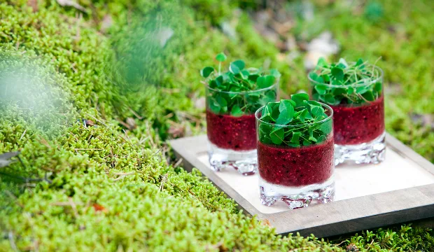 Mkn villiyrtit kuvatimoviljakainen