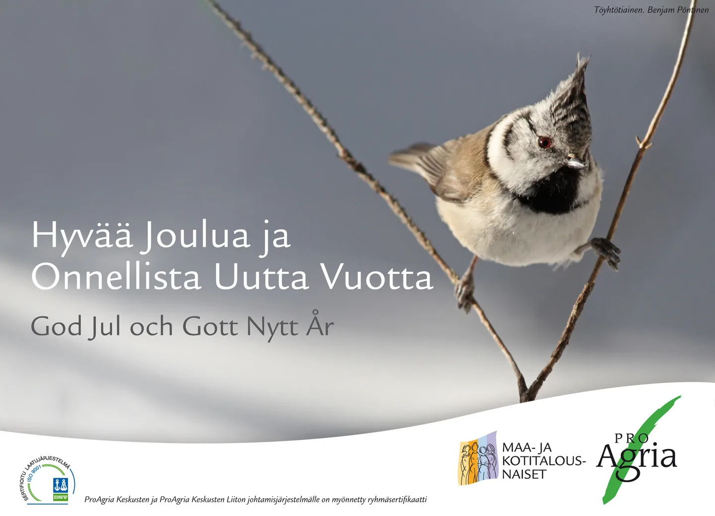 Proagria joulutervehdys 2014 sp suomi proagria mkn