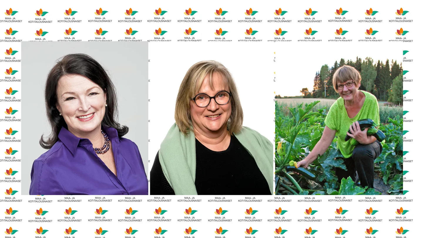 Merja Rehn (vasemmalla), Päivi Alanne ja Pirjo Luotola valittiin MKNK ry:n hallituksen uusiksi jäseniksi