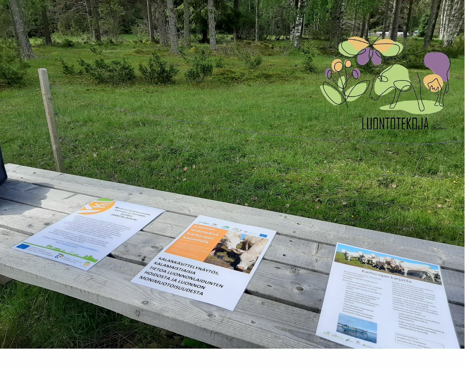 Luonnonlaidunpäivän infotaulut Liimanninkoskella