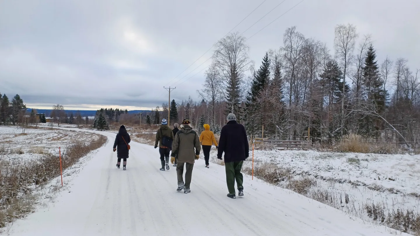 Mieslahti kavely 20231031 135823