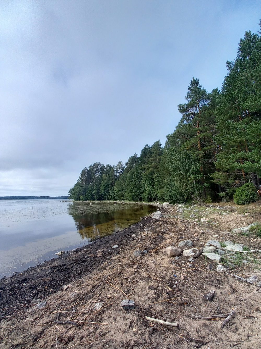 Orivarsalaitumen rantaa