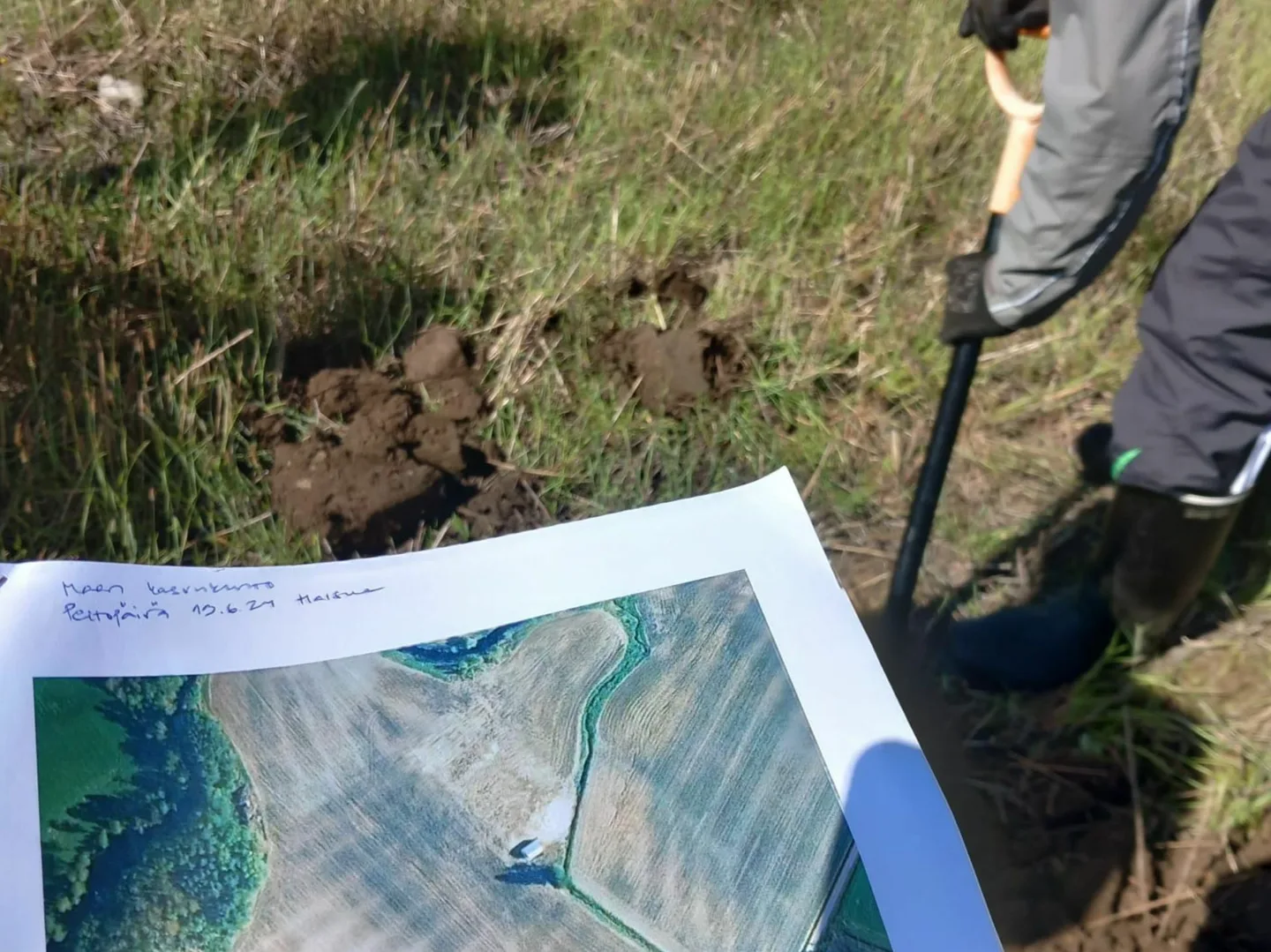 Pellon rakenne lapiolla