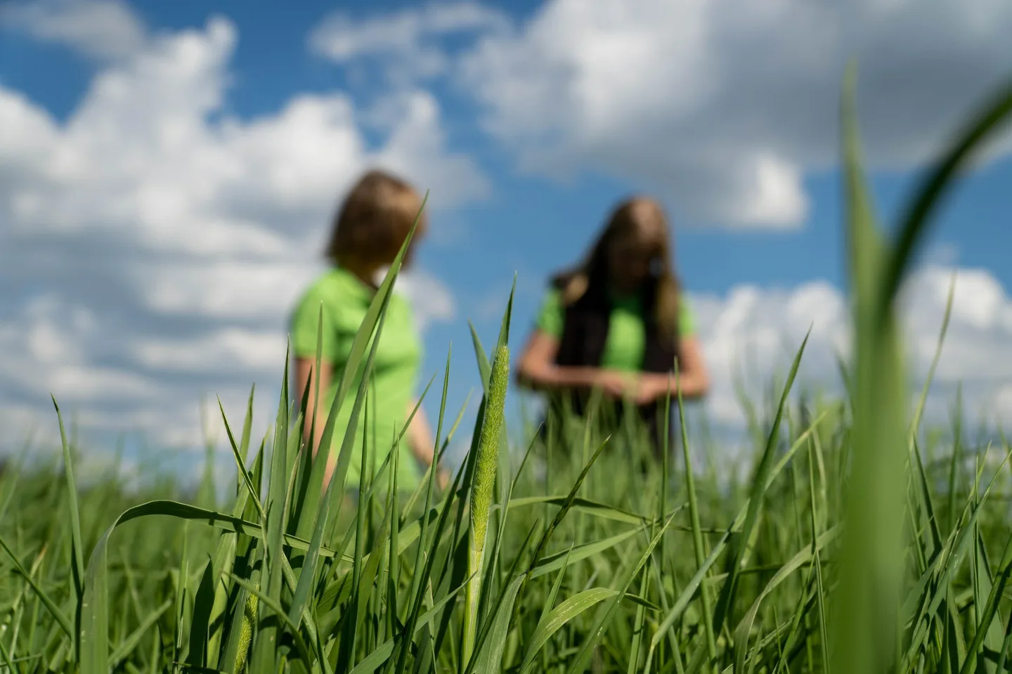 Asiantuntijoita pellolla