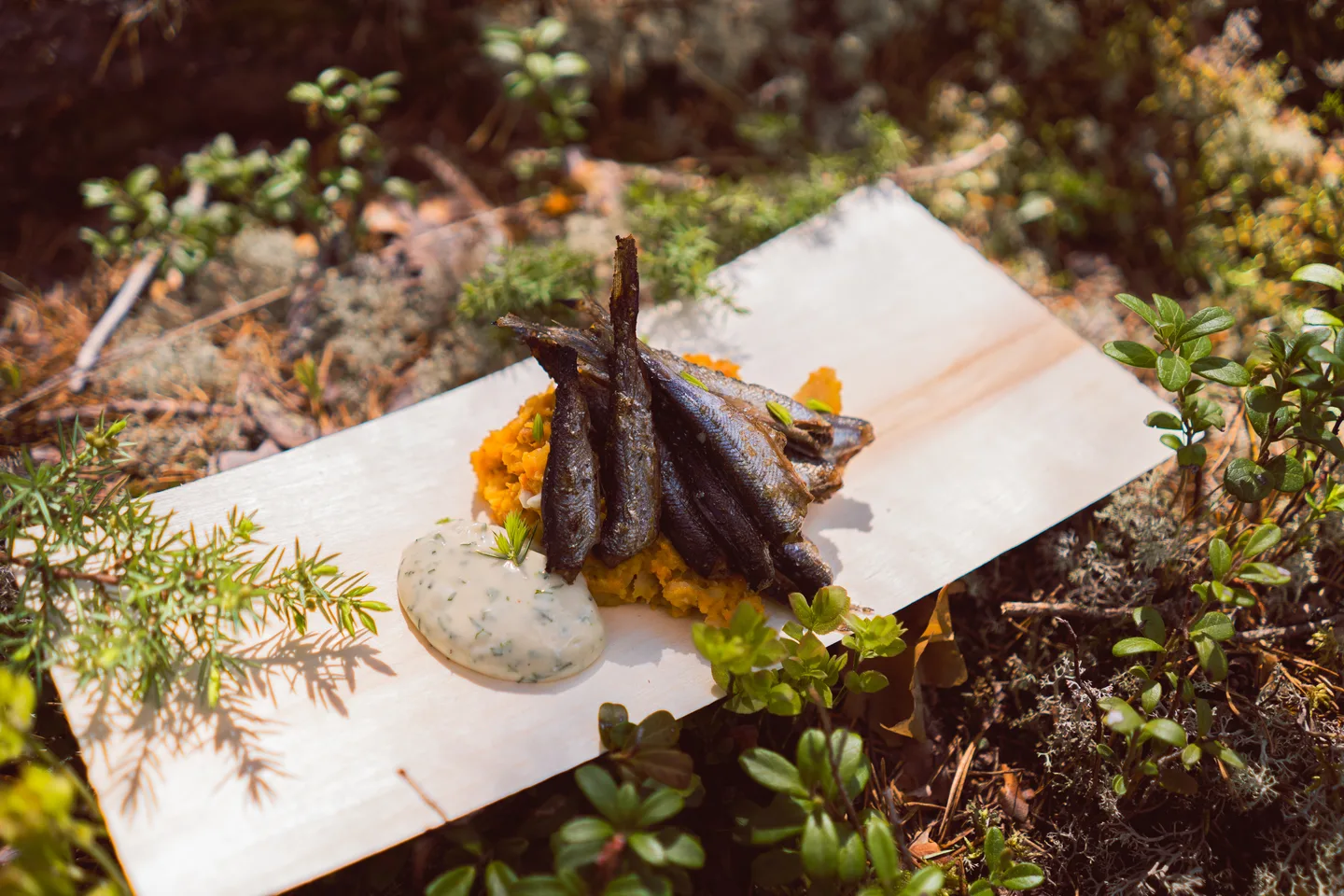 Fried vendace Visit Saimaa Visit Saimaa mainittava ID 516656