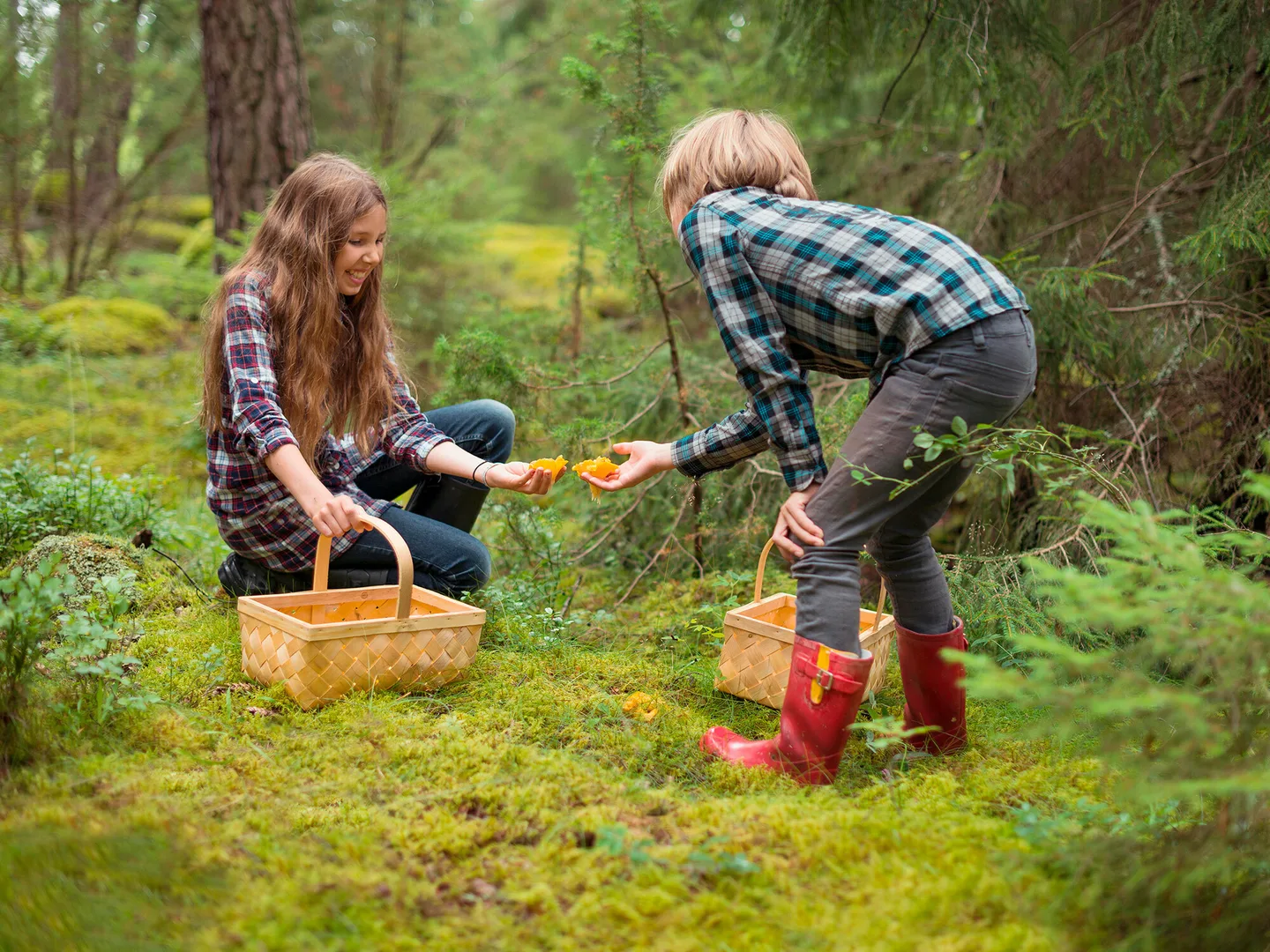 Luonnosta elamaa kuva Johner Alamy