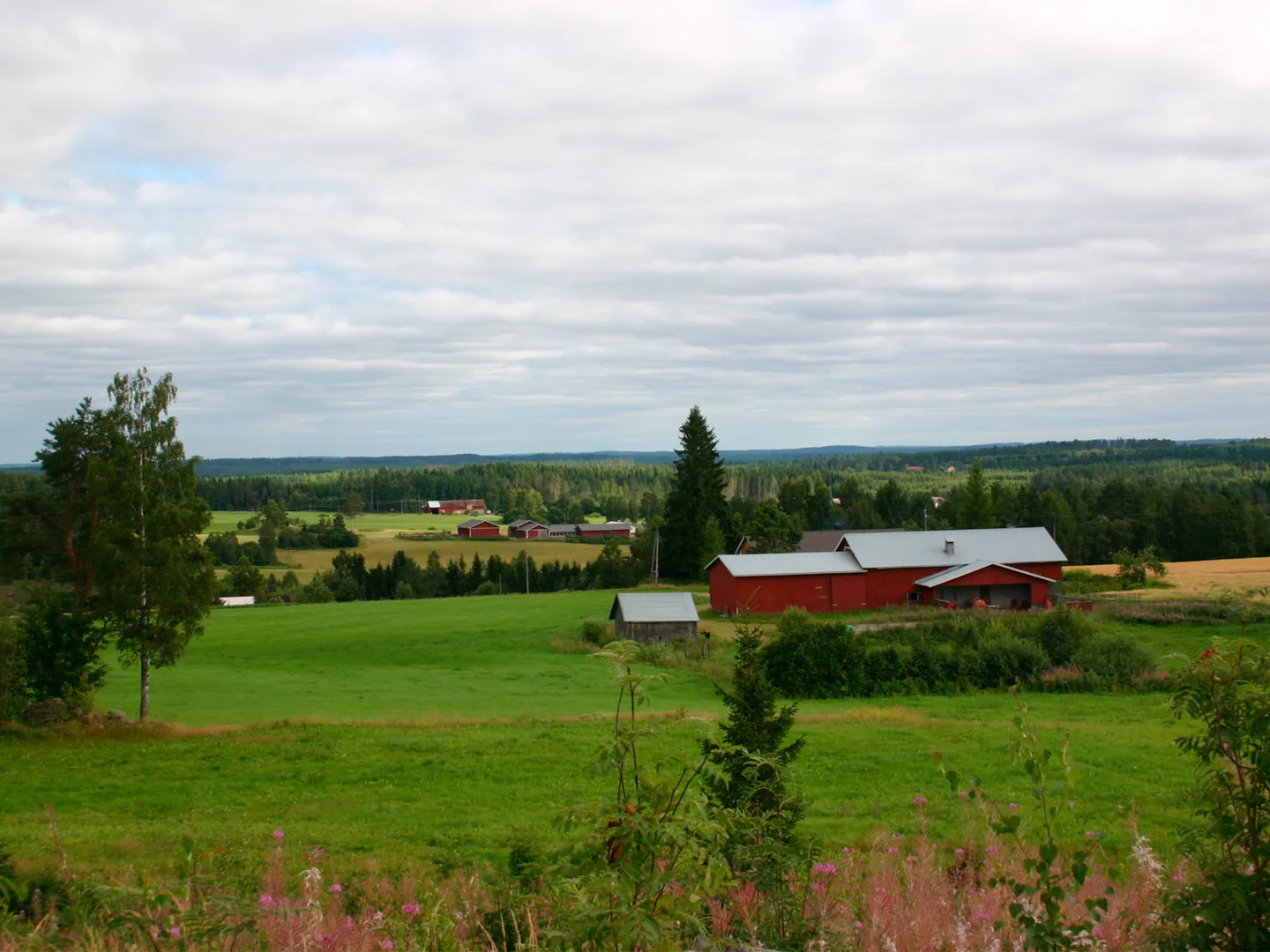 Eteläsavolaista maaseutumaisemaa