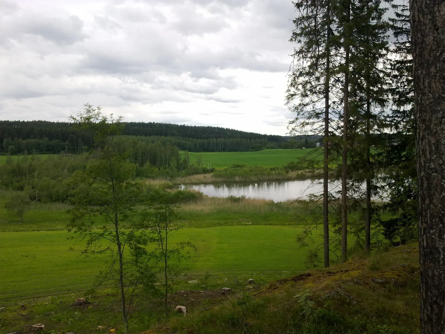 Vesistöä, jota ympäröi .suojakaistat ja peltoa