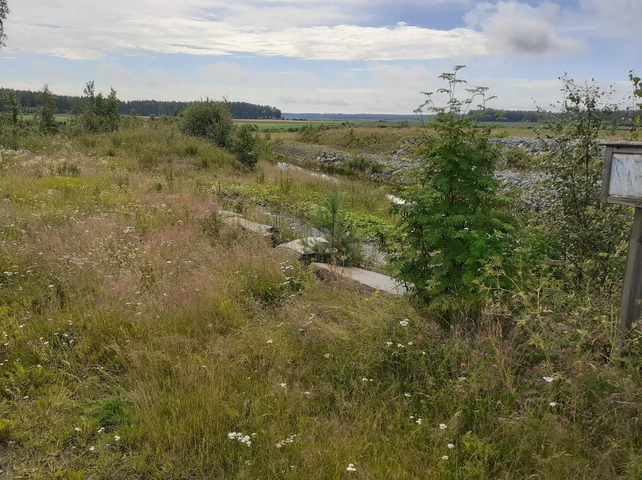 Oravilahden kuivatusalue