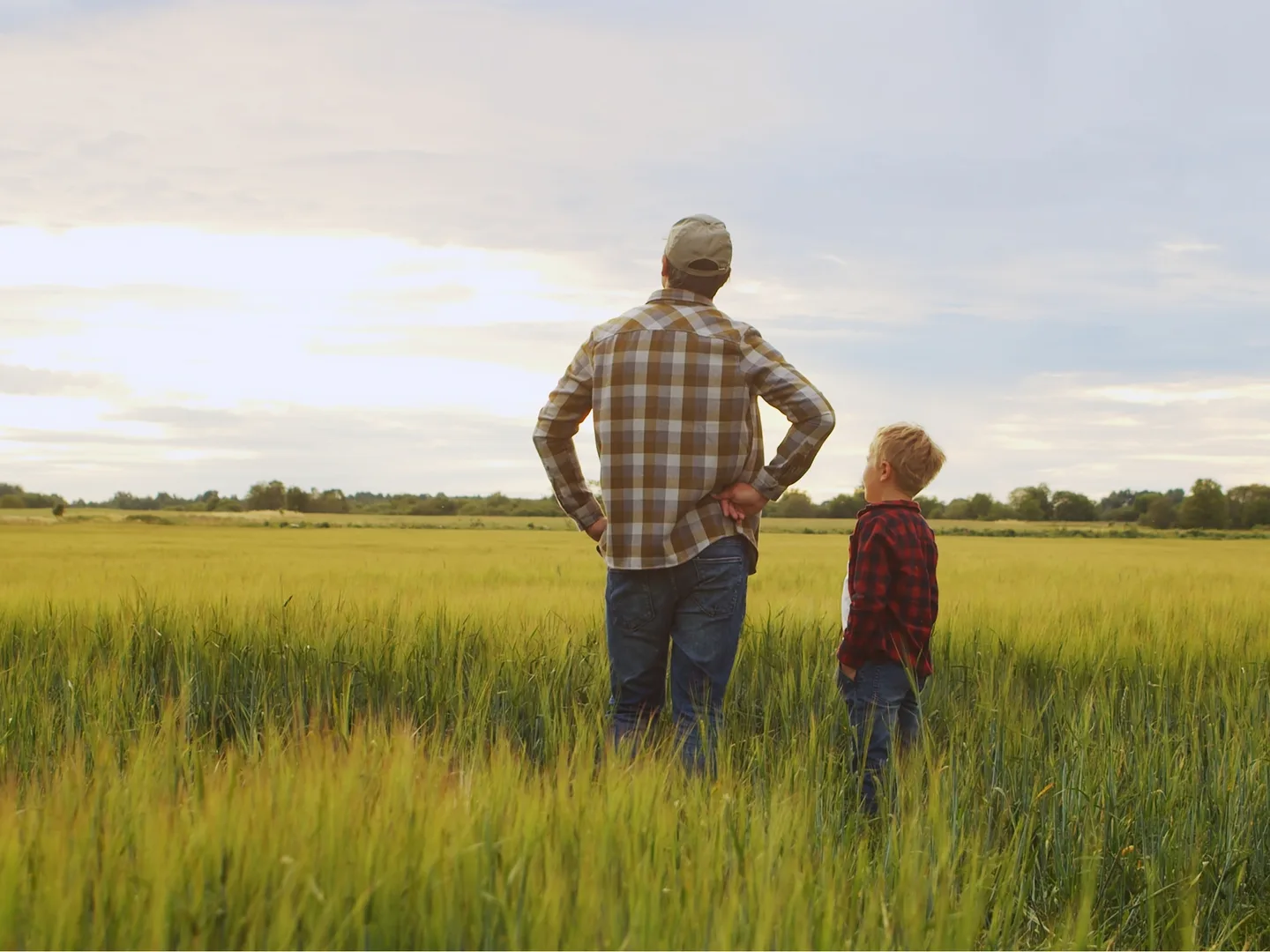 Ennakoiva ov roolikuva www