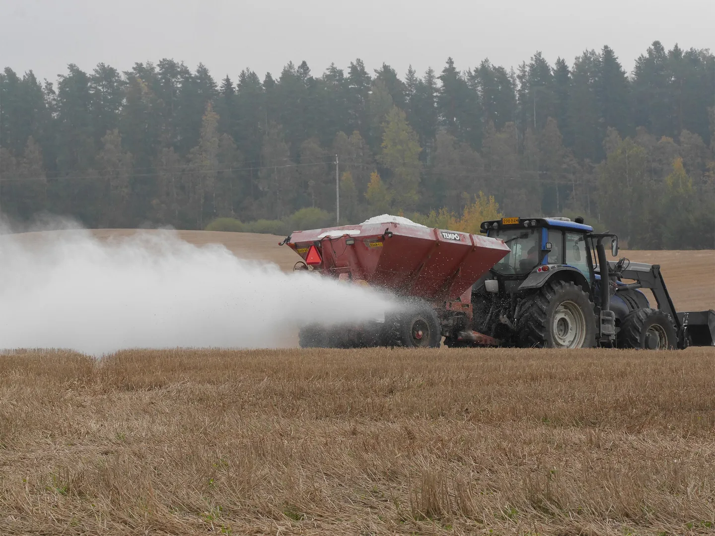 Kalkitus kakynnissa kuva Arja Leppanen