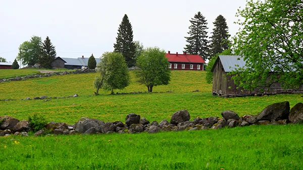 EKKU Savikumpu AH netti