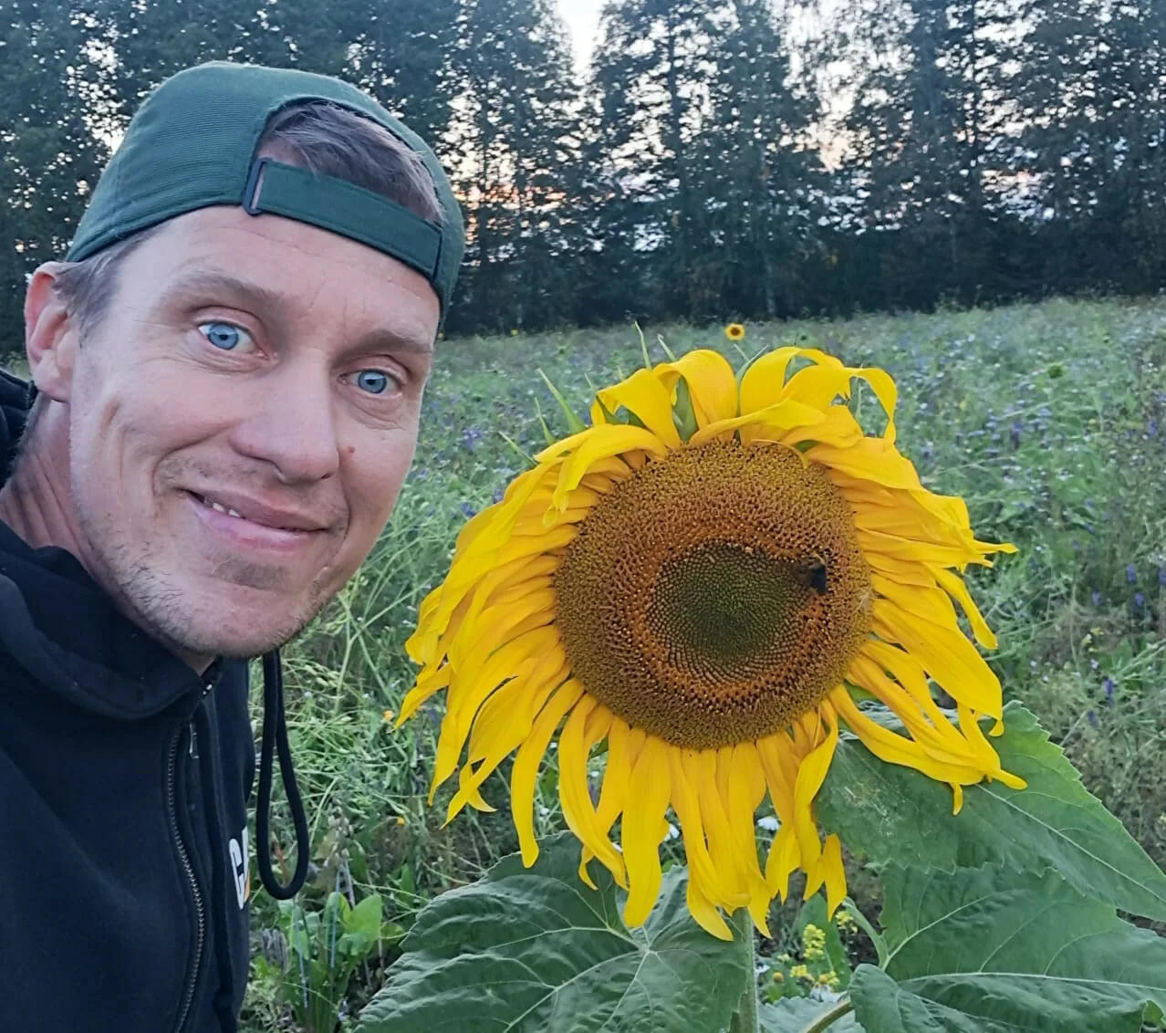 Johan ja auringonkukka