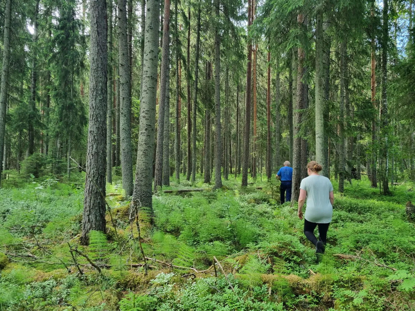 Kaksi ihmista vihreassa metsassa
