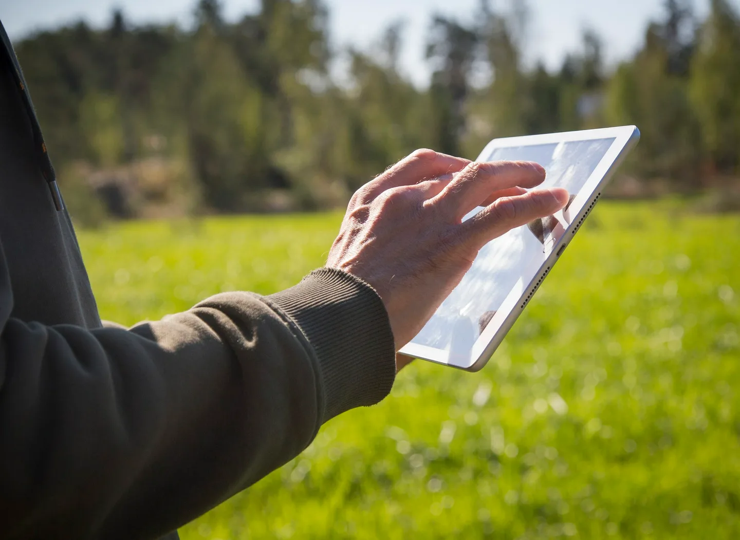 Kuvituskuva yritys tabletti