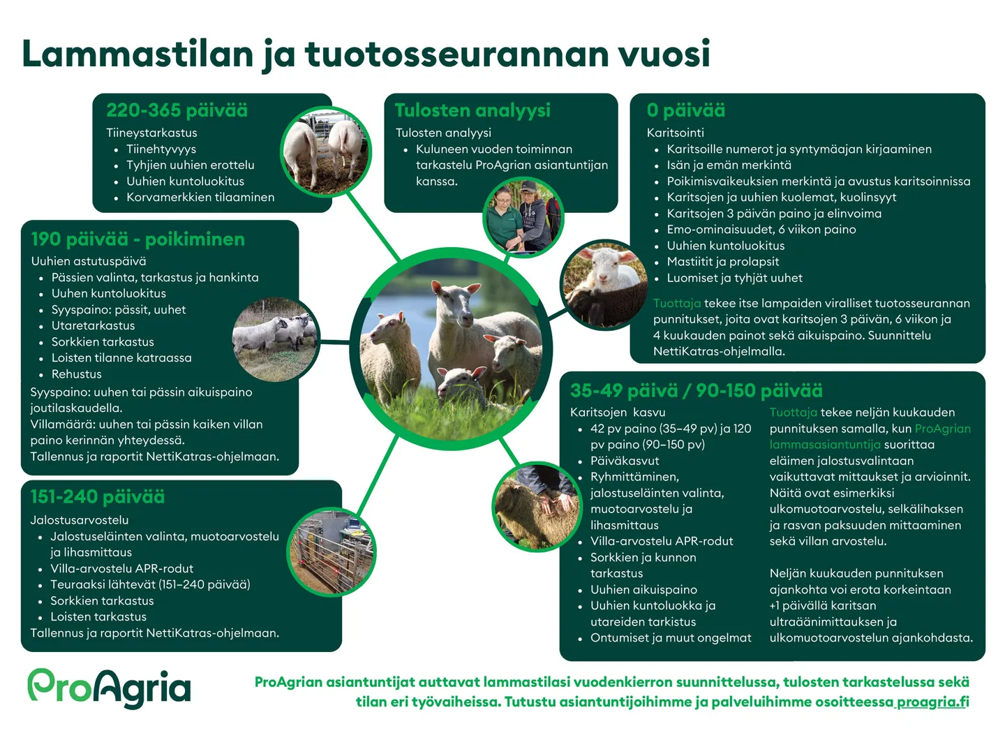 Lammastilan ja tuotosseurannan vuosi 2026