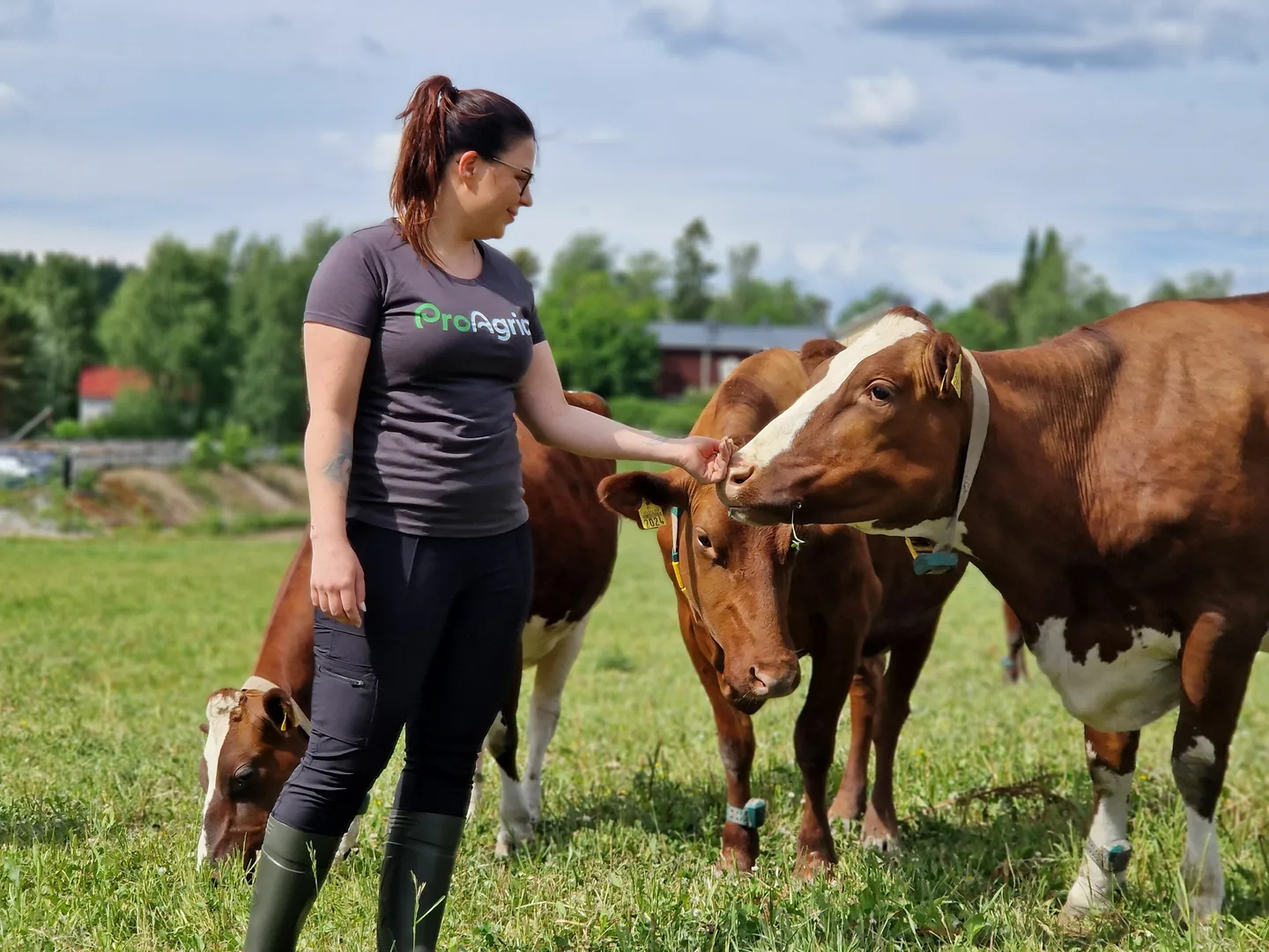 Linda Kurkioja ja lehmat laitumella