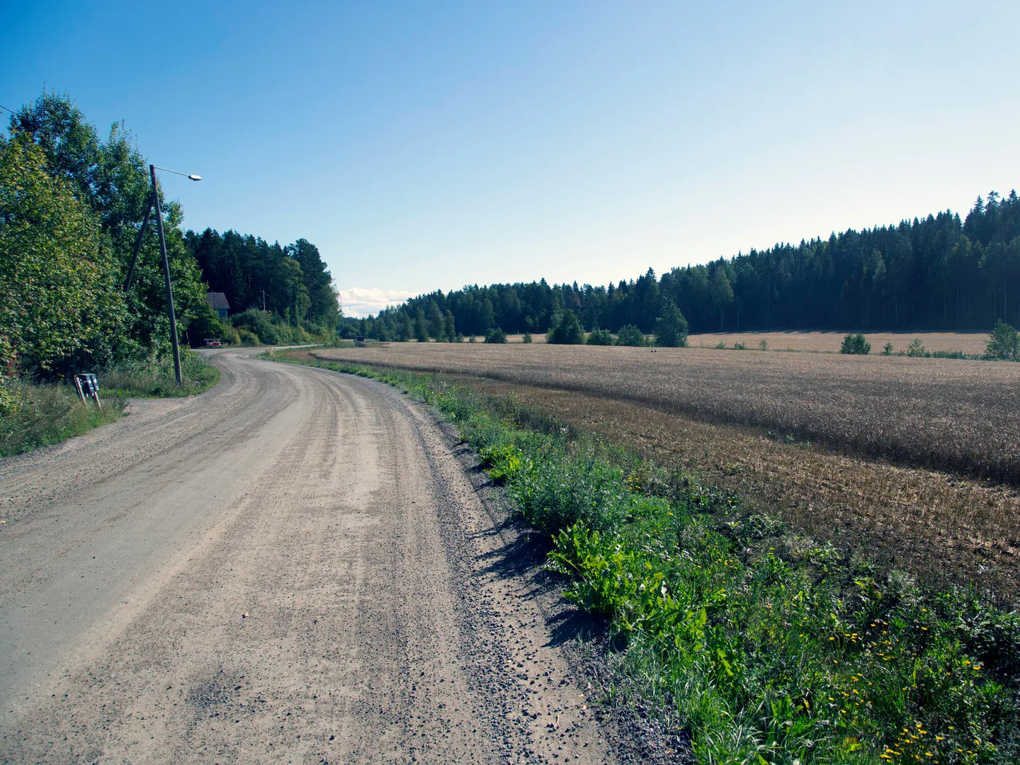 Maalaistie kuva Essi Jokela
