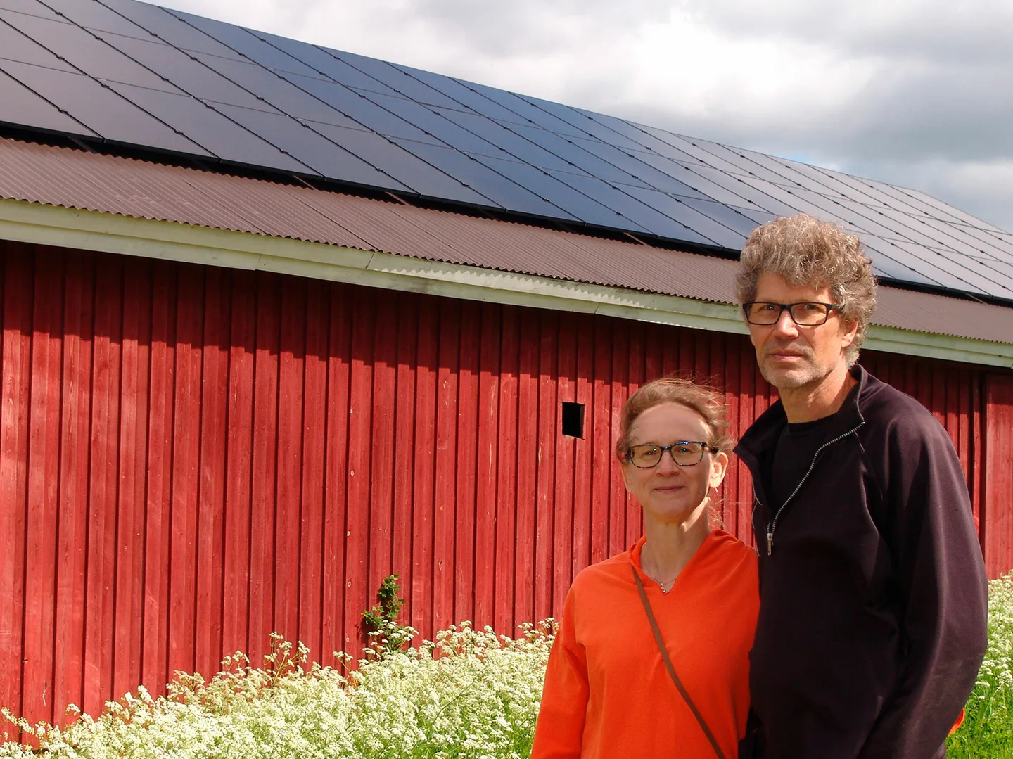 Maaneuvo saariset referenssipaakuva