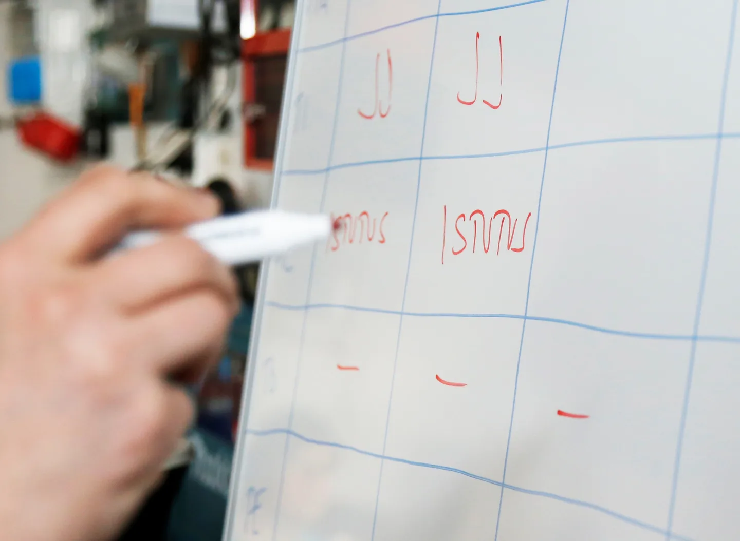 Marjapienryhma Kokemaki 2016 Essi Jokela 21