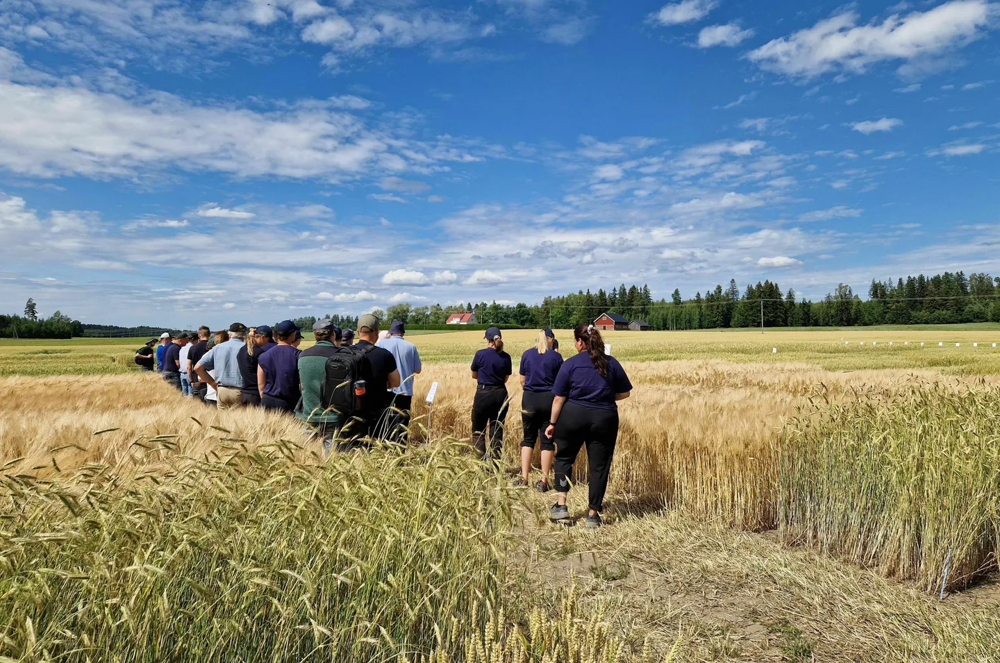 NSL koeruudut Siuntiossa Sonja Kankaanpaa