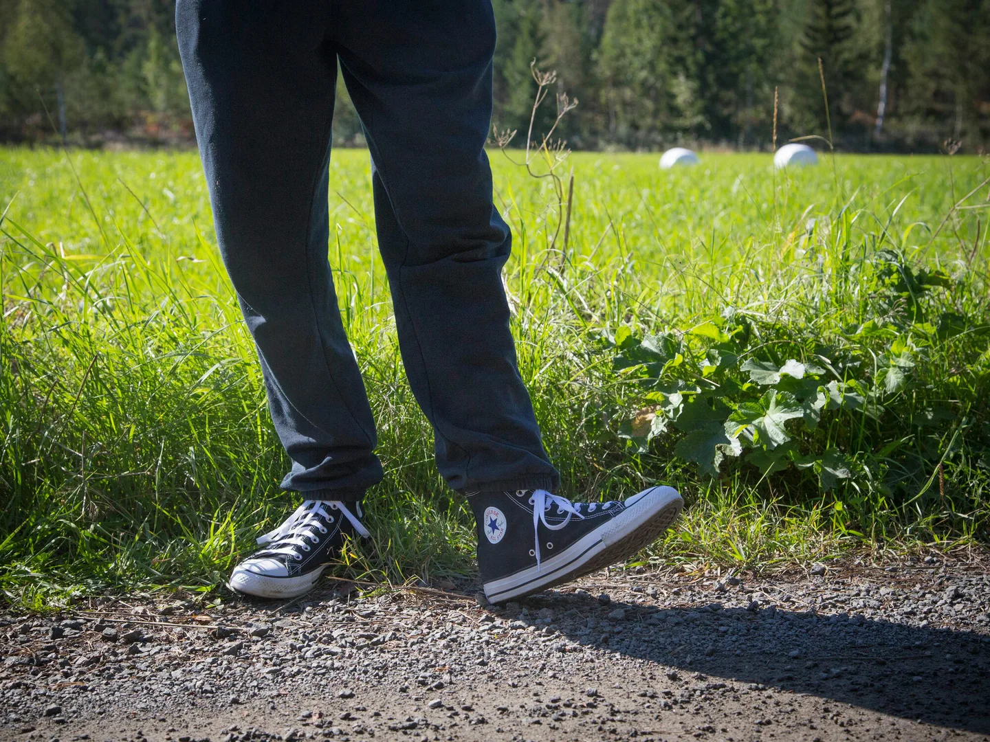 Seisova ihminen taustalla nurmi paalit ja metsa