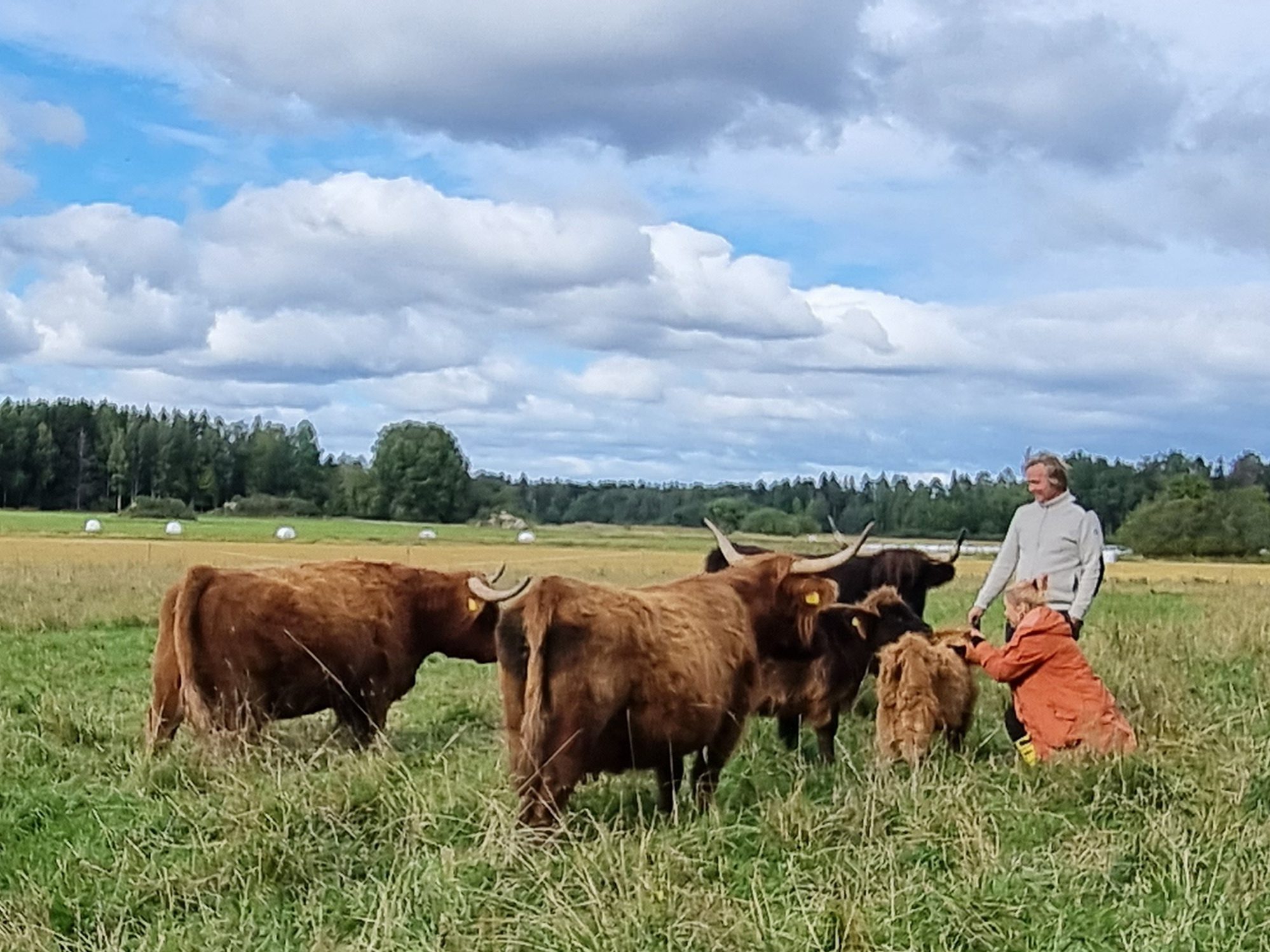 Suomalaisen ruoan päivän etkot