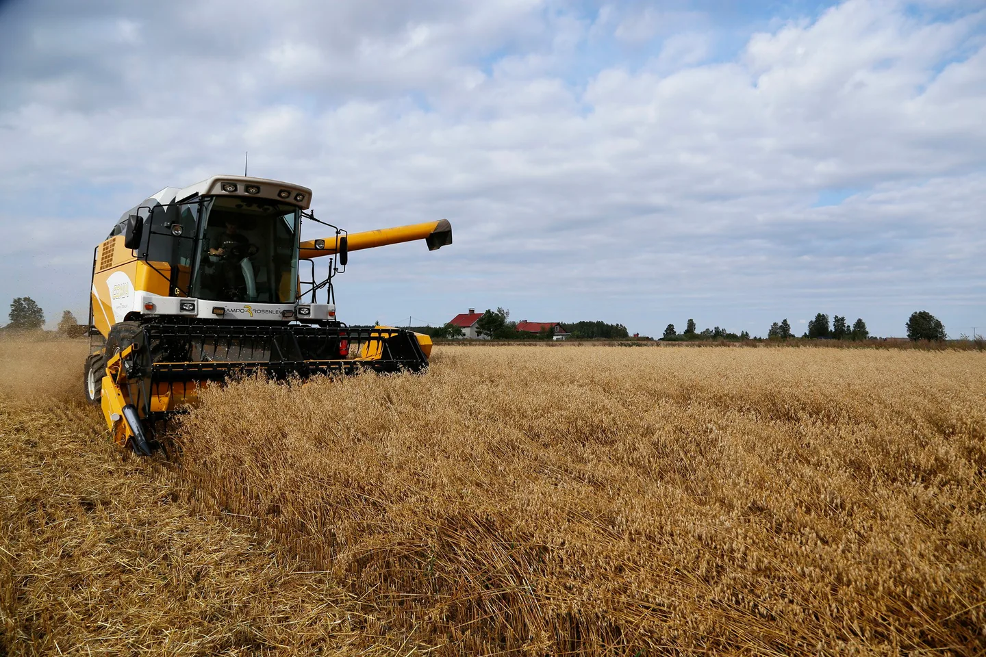 Viljan puinti Essi Jokela