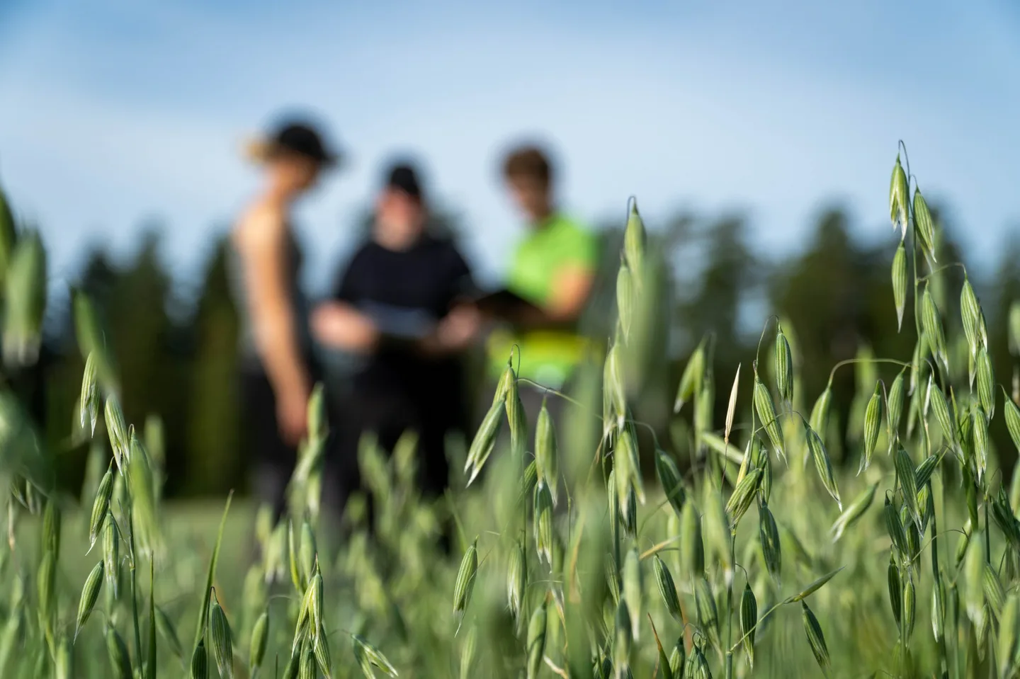 Viljelytarkastus Kaisa Uusi Kraapo