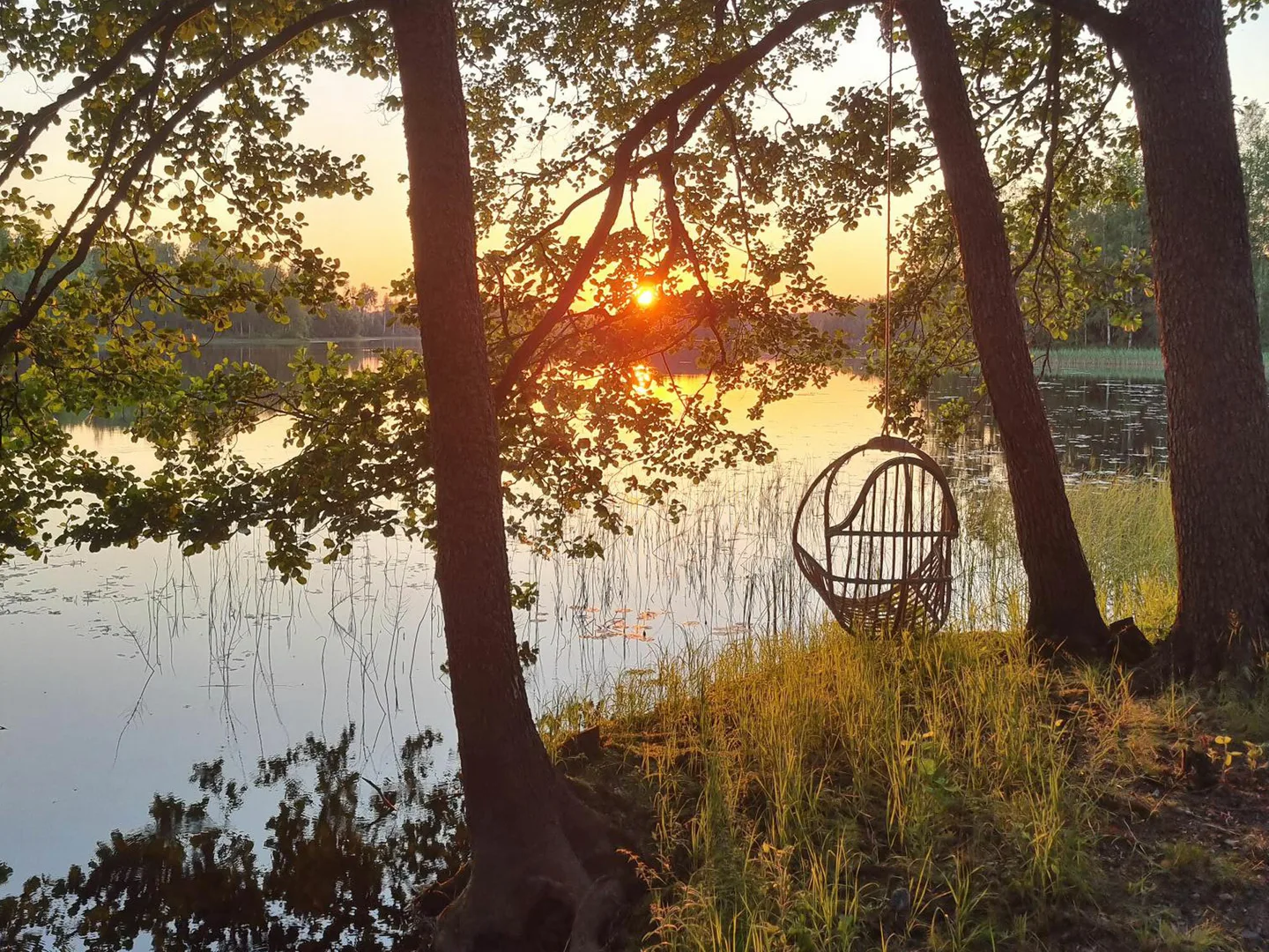 Jarvimaisema auringonlaskussa kuva hanna westerlund