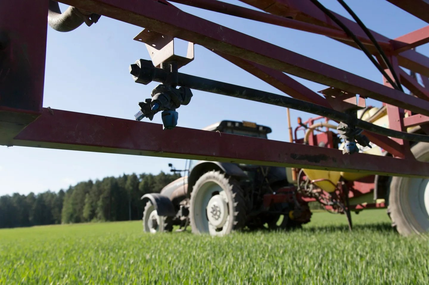 Kasvinsuojeluruisku 1