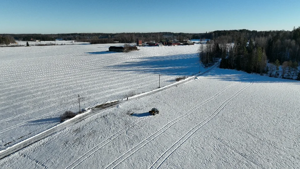 Keraajakasvi hankikylvo