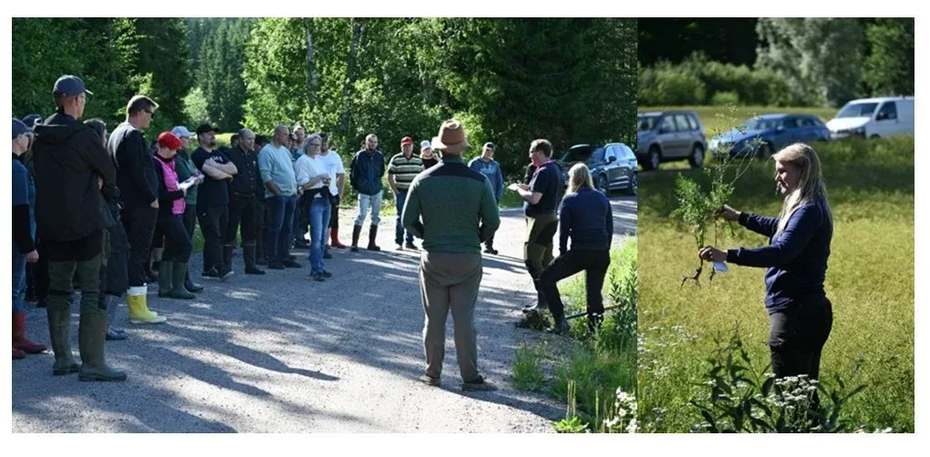 https://proagria-website.transforms.svdcdn.com/production/ProAgria/Etela-Suomi/kuminapelto-ihmiset-elina.webp?w=1020&h=501&auto=compress%2Cformat&fit=crop&dm=1791893289&s=da11e032c6ff530248d548e227576d22