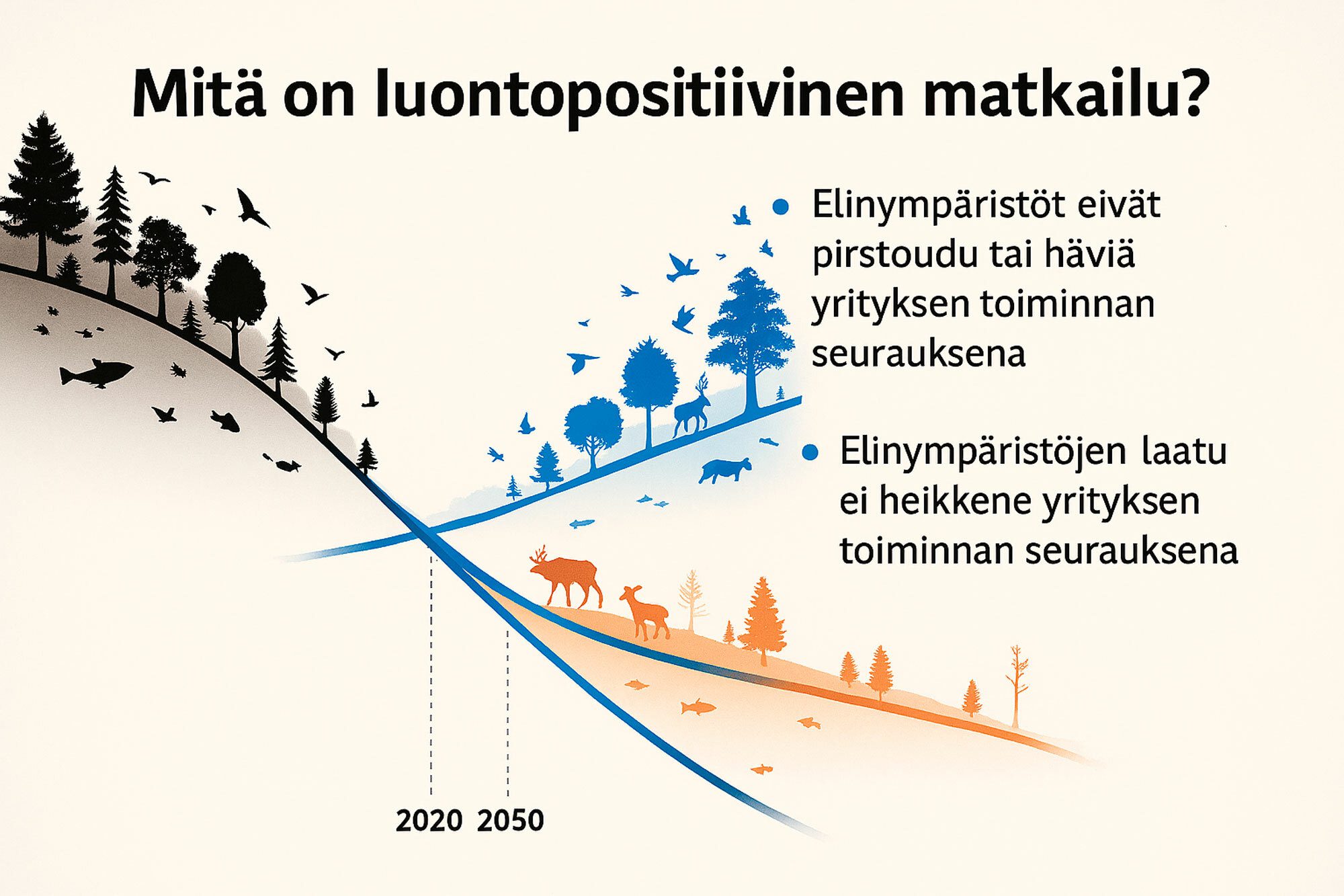 Mitä on luontopositiivinen matkailu? Tekstä sisältävä kuva.
