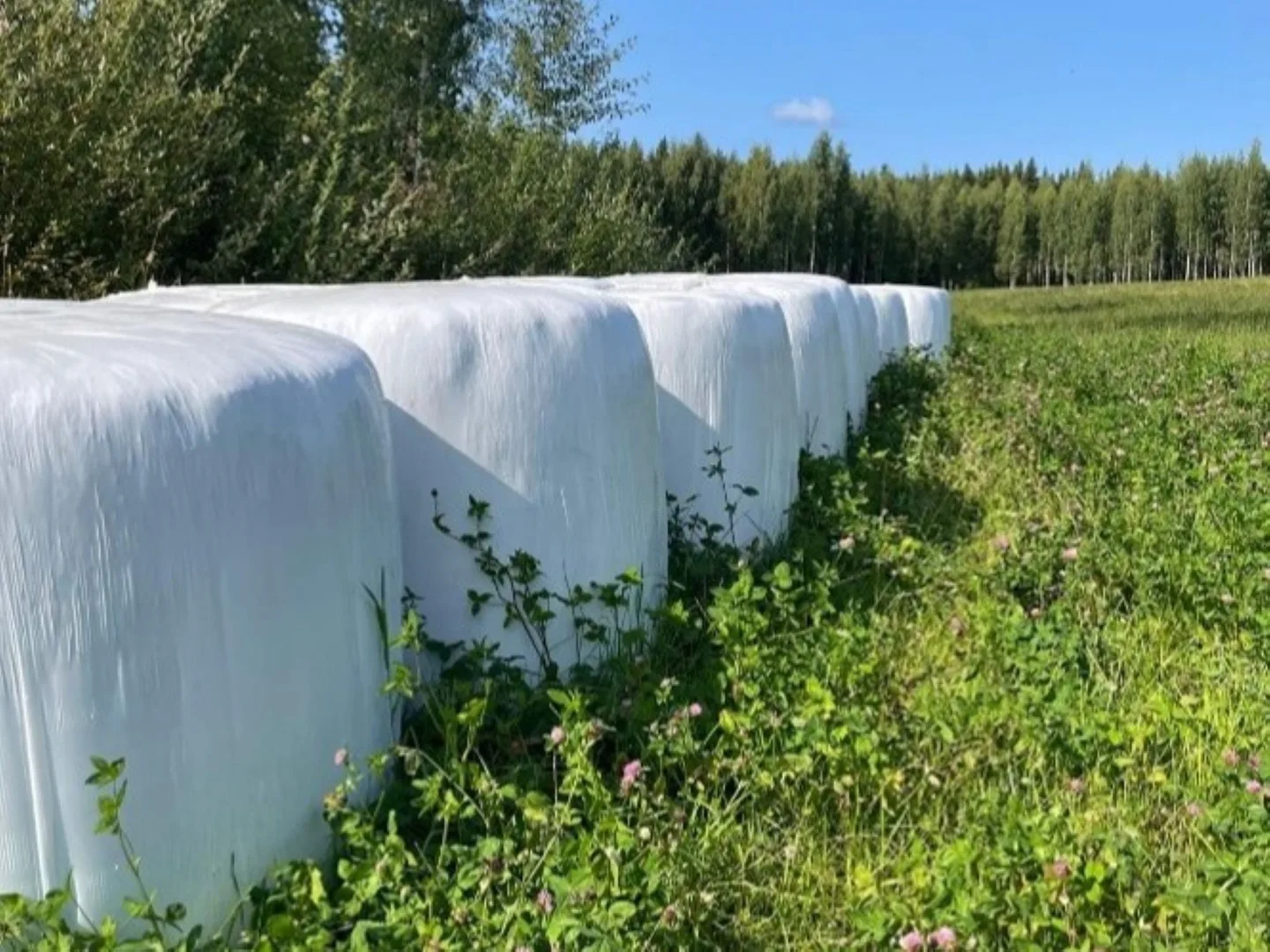 Heinäpaalit