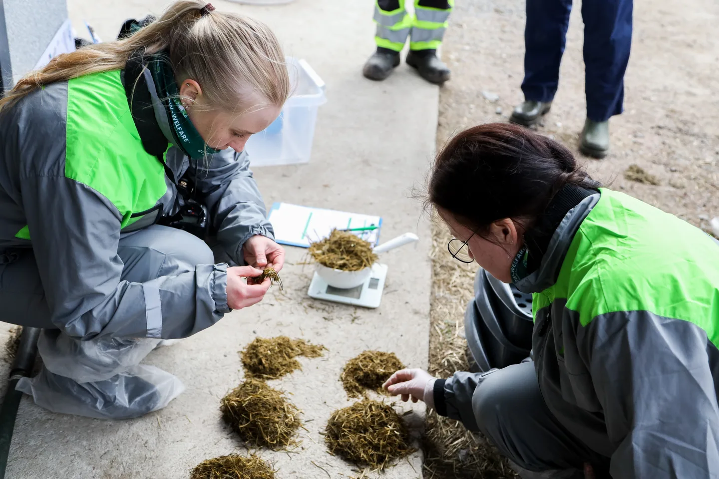 Liisa Komulainen ja Paula Orava Iina Tauriainen