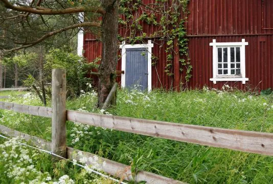 Maalaismaisema kuva Essi Jokela, ProAgria
