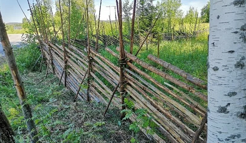 Maisemat kuntoon hanke kuva T Airaksinen